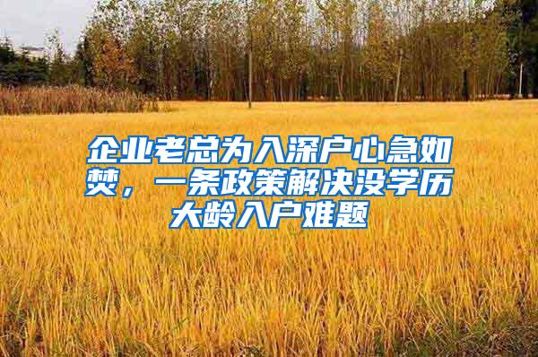 企业老总为入深户心急如焚，一条政策解决没学历大龄入户难题