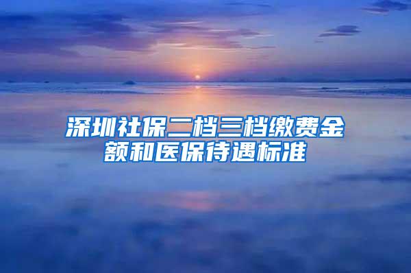 深圳社保二档三档缴费金额和医保待遇标准