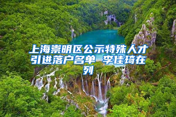 上海崇明区公示特殊人才引进落户名单 李佳琦在列