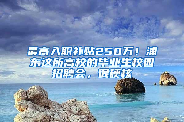 最高入职补贴250万！浦东这所高校的毕业生校园招聘会，很硬核