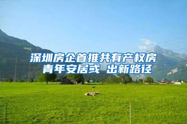 深圳房企首推共有产权房 青年安居或蹚出新路径