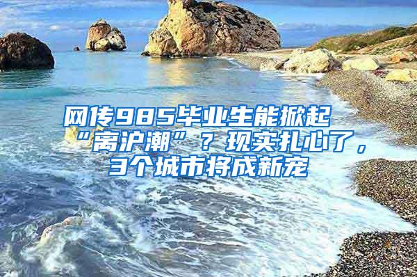 网传985毕业生能掀起“离沪潮”？现实扎心了，3个城市将成新宠