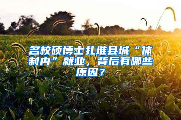 名校硕博士扎堆县城“体制内”就业，背后有哪些原因？