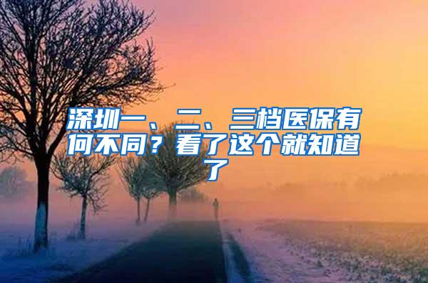 深圳一、二、三档医保有何不同？看了这个就知道了