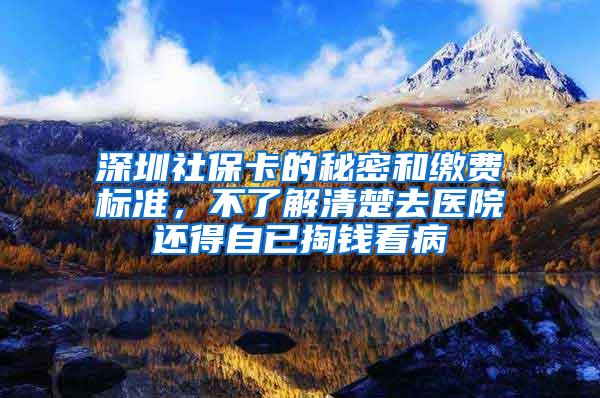 深圳社保卡的秘密和缴费标准，不了解清楚去医院还得自已掏钱看病