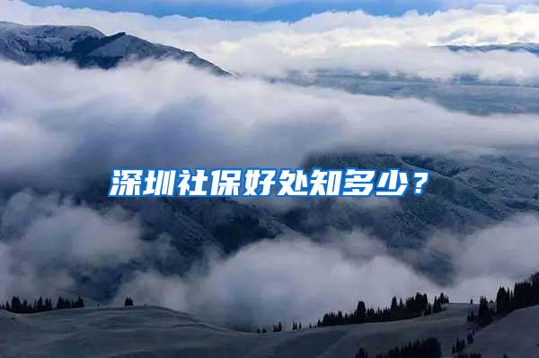 深圳社保好处知多少？