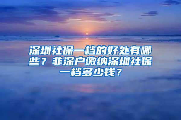 深圳社保一档的好处有哪些？非深户缴纳深圳社保一档多少钱？