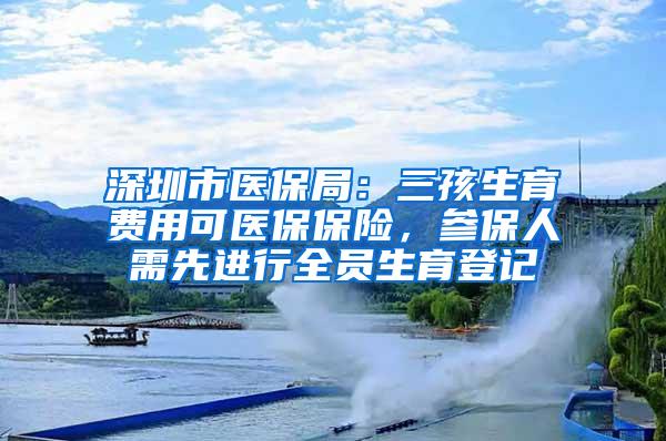 深圳市医保局：三孩生育费用可医保保险，参保人需先进行全员生育登记