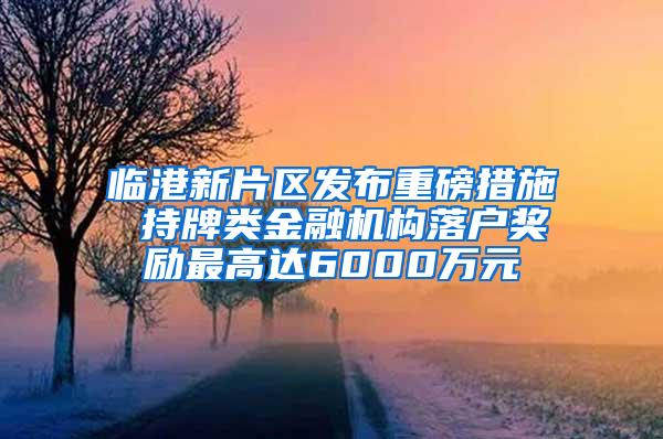 临港新片区发布重磅措施 持牌类金融机构落户奖励最高达6000万元