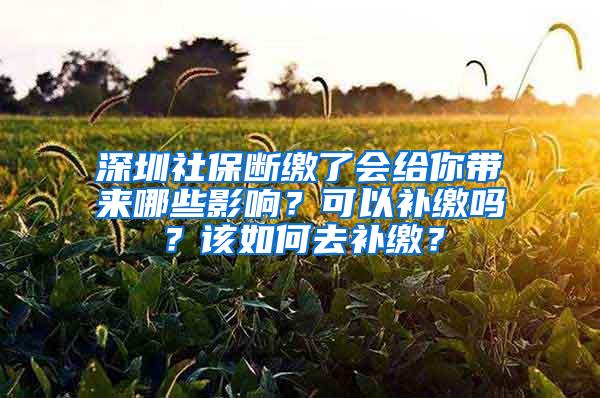 深圳社保断缴了会给你带来哪些影响？可以补缴吗？该如何去补缴？