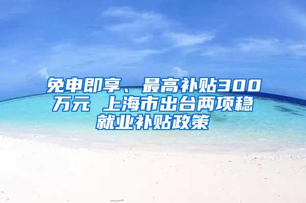 免申即享、最高补贴300万元 上海市出台两项稳就业补贴政策