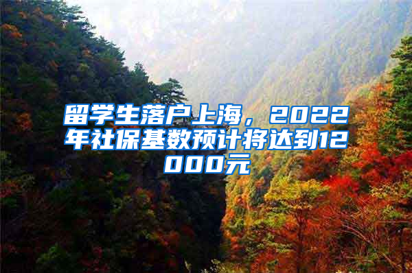 留学生落户上海，2022年社保基数预计将达到12000元