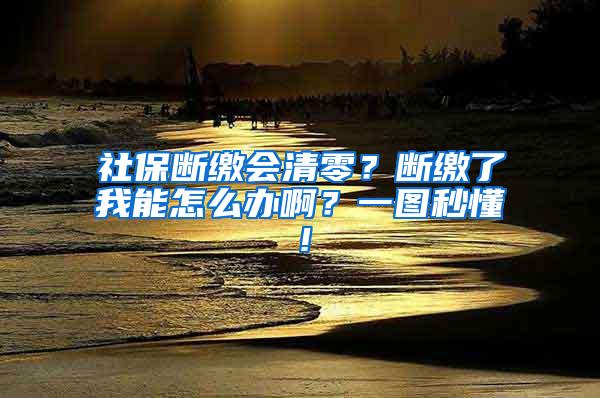 社保断缴会清零？断缴了我能怎么办啊？一图秒懂！