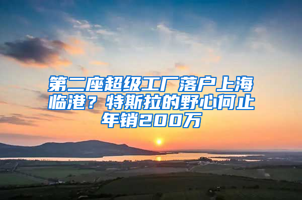 第二座超级工厂落户上海临港？特斯拉的野心何止年销200万