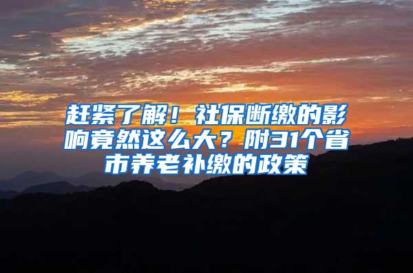 赶紧了解！社保断缴的影响竟然这么大？附31个省市养老补缴的政策