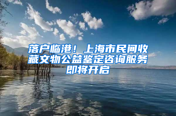 落户临港！上海市民间收藏文物公益鉴定咨询服务即将开启