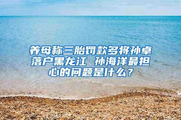 养母称三胎罚款多将孙卓落户黑龙江 孙海洋最担心的问题是什么？