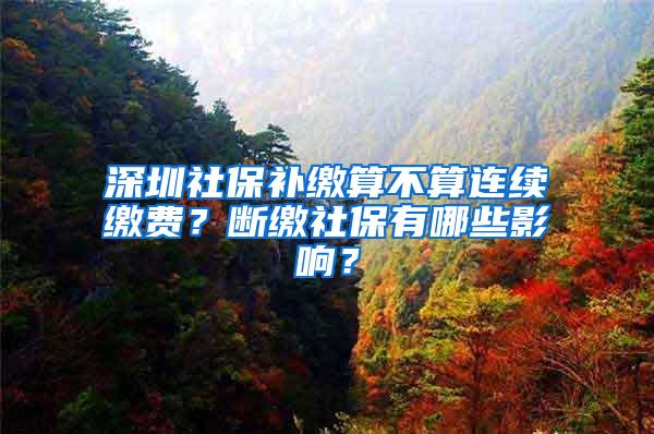 深圳社保补缴算不算连续缴费？断缴社保有哪些影响？