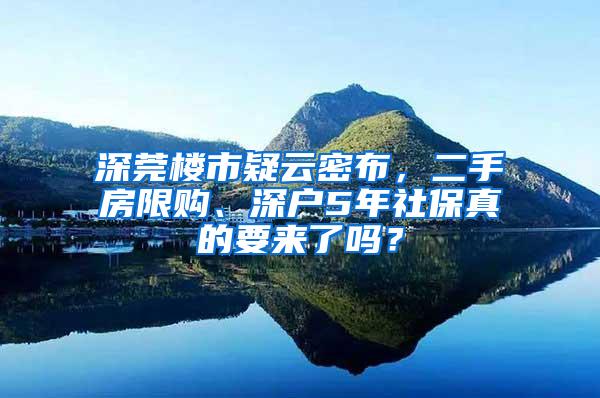 深莞楼市疑云密布，二手房限购、深户5年社保真的要来了吗？