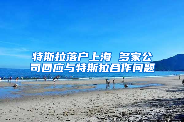 特斯拉落户上海 多家公司回应与特斯拉合作问题