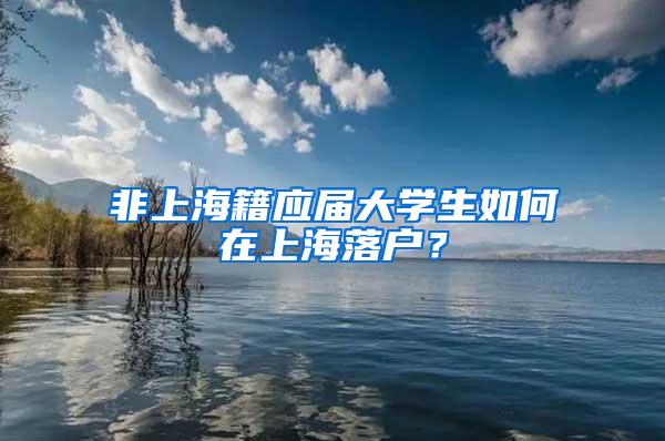 非上海籍应届大学生如何在上海落户？