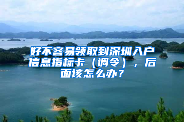 好不容易领取到深圳入户信息指标卡（调令），后面该怎么办？