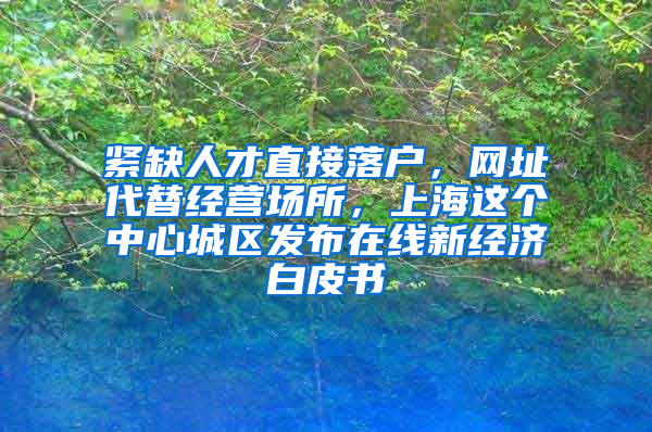 紧缺人才直接落户，网址代替经营场所，上海这个中心城区发布在线新经济白皮书