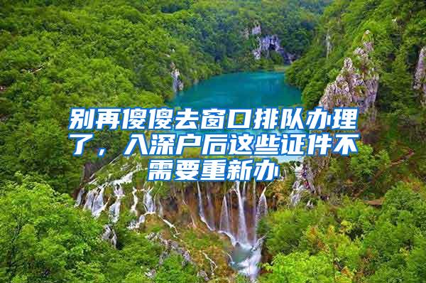 别再傻傻去窗口排队办理了，入深户后这些证件不需要重新办