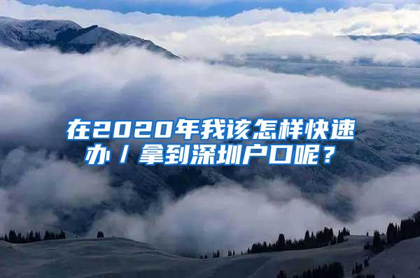 在2020年我该怎样快速办／拿到深圳户口呢？