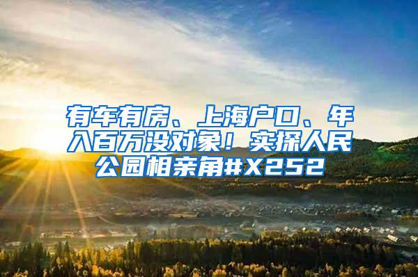 有车有房、上海户口、年入百万没对象！实探人民公园相亲角#X252