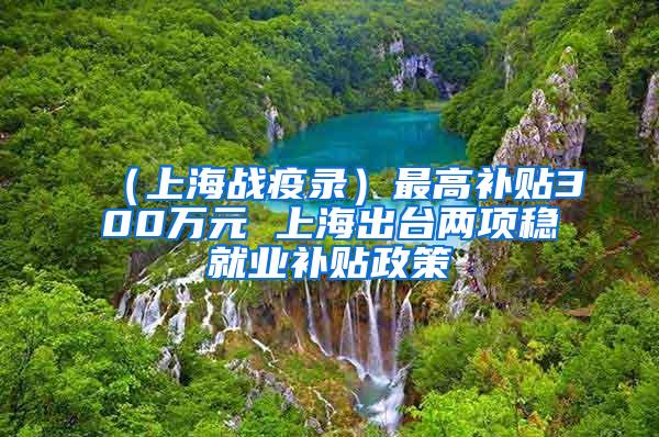 （上海战疫录）最高补贴300万元 上海出台两项稳就业补贴政策