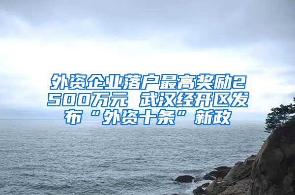 外资企业落户最高奖励2500万元 武汉经开区发布“外资十条”新政