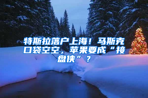 特斯拉落户上海！马斯克口袋空空，苹果要成“接盘侠”？