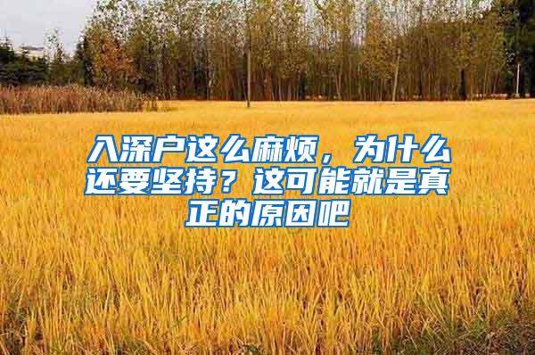 入深户这么麻烦，为什么还要坚持？这可能就是真正的原因吧