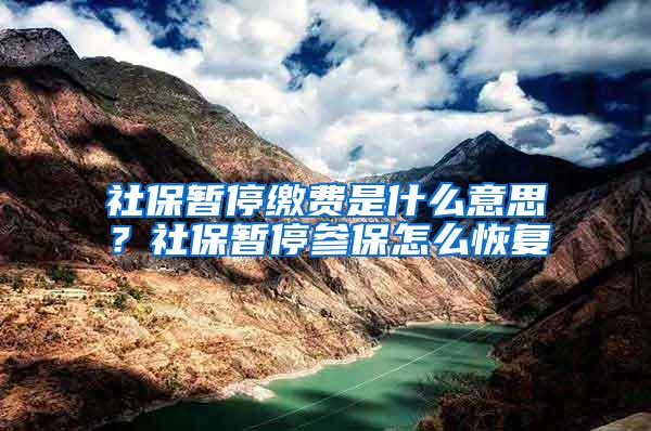 社保暂停缴费是什么意思？社保暂停参保怎么恢复