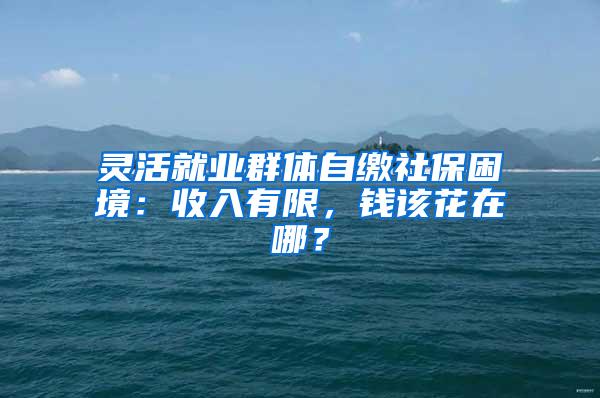 灵活就业群体自缴社保困境：收入有限，钱该花在哪？