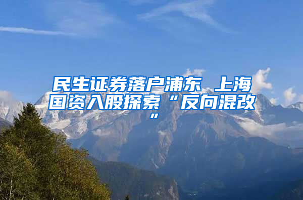 民生证券落户浦东 上海国资入股探索“反向混改”