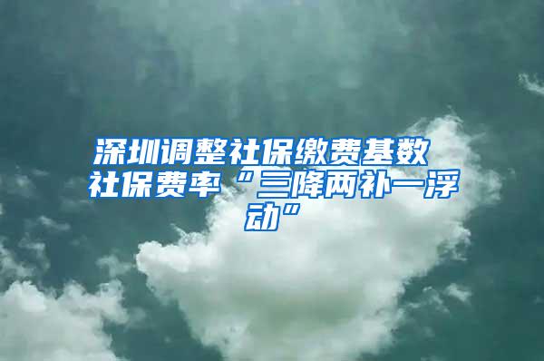 深圳调整社保缴费基数 社保费率“三降两补一浮动”