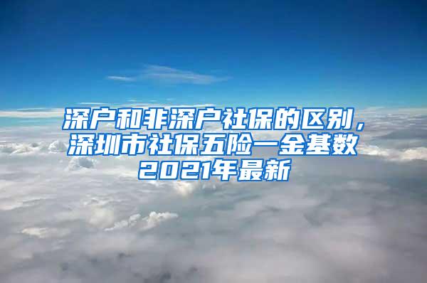 深户和非深户社保的区别，深圳市社保五险一金基数2021年最新