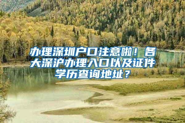 办理深圳户口注意啦！各大深沪办理入口以及证件学历查询地址？