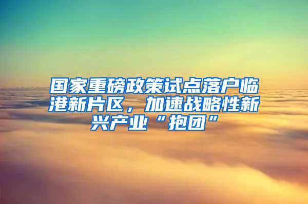 国家重磅政策试点落户临港新片区，加速战略性新兴产业“抱团”