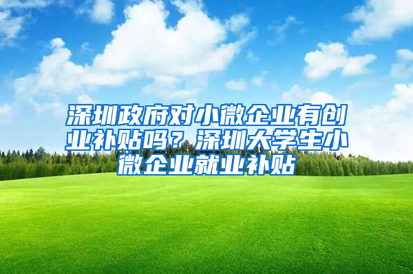 深圳政府对小微企业有创业补贴吗？深圳大学生小微企业就业补贴