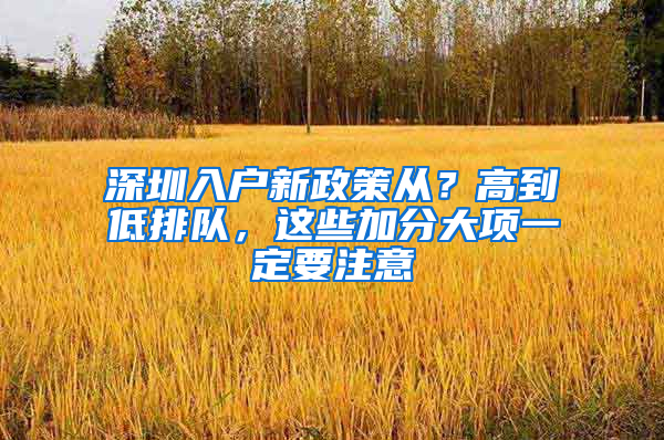 深圳入户新政策从？高到低排队，这些加分大项一定要注意