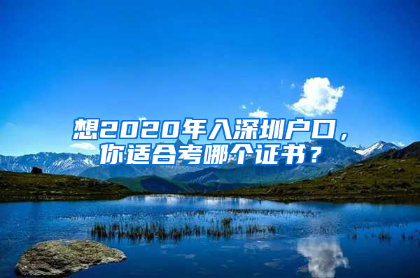 想2020年入深圳户口，你适合考哪个证书？