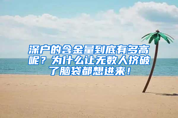 深户的含金量到底有多高呢？为什么让无数人挤破了脑袋都想进来！