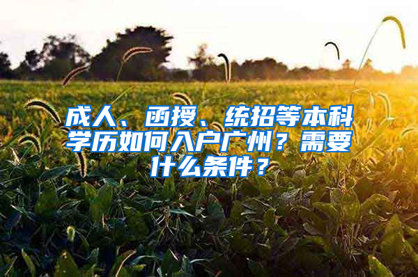 成人、函授、统招等本科学历如何入户广州？需要什么条件？