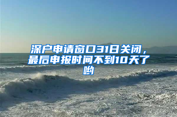 深户申请窗口31日关闭，最后申报时间不到10天了哟