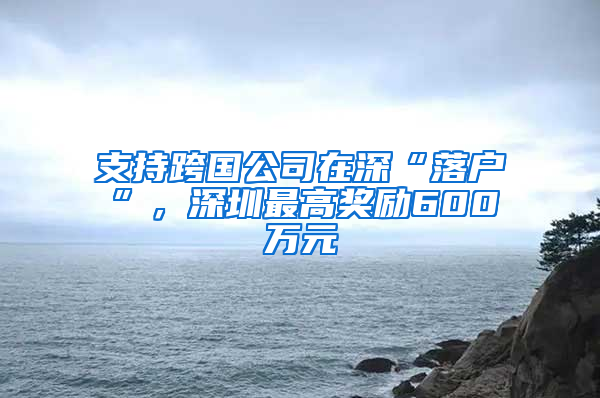 支持跨国公司在深“落户”，深圳最高奖励600万元