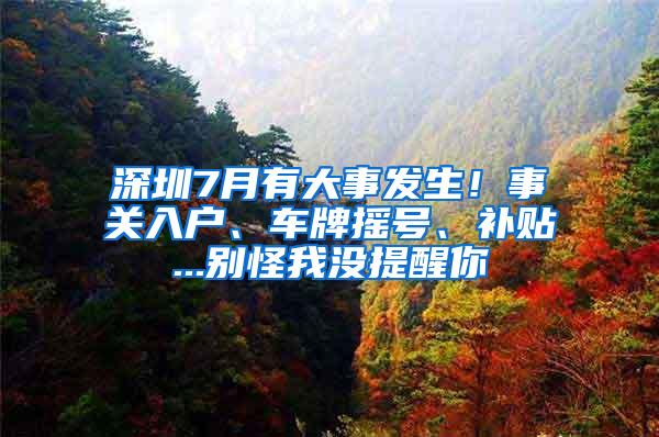 深圳7月有大事发生！事关入户、车牌摇号、补贴...别怪我没提醒你