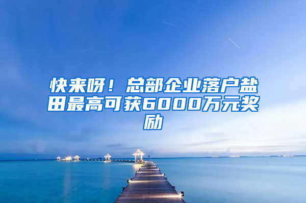 快来呀！总部企业落户盐田最高可获6000万元奖励